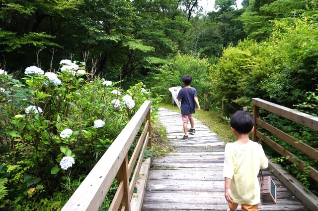【リゾナーレ那須】POKO POKOトラック～夏の外遊び～