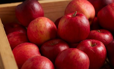 信州りんご【Adam's awesomePIE 自家製パイの食べ放題】