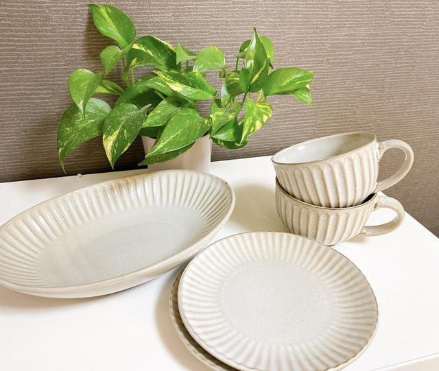 【ニトリの食器】どんなシーンでも大活躍まちがいなし！