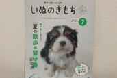 犬の暑さ対策にぴったり！「いぬのきもち7月号」の“特典付録”を使ってみた