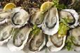真牡蠣
