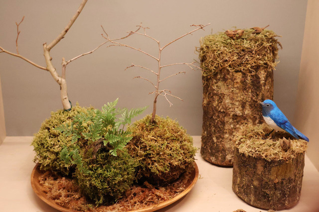 「こけ玉作り体験」