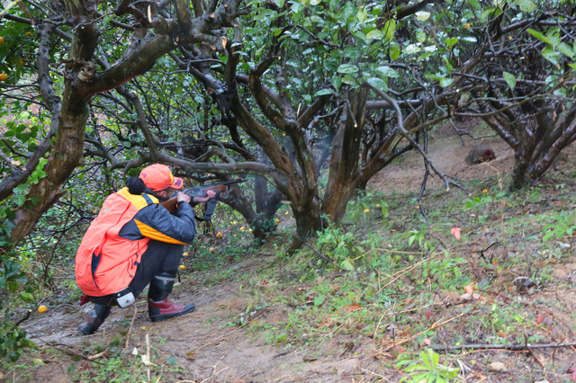 「猪骨ラーメン」