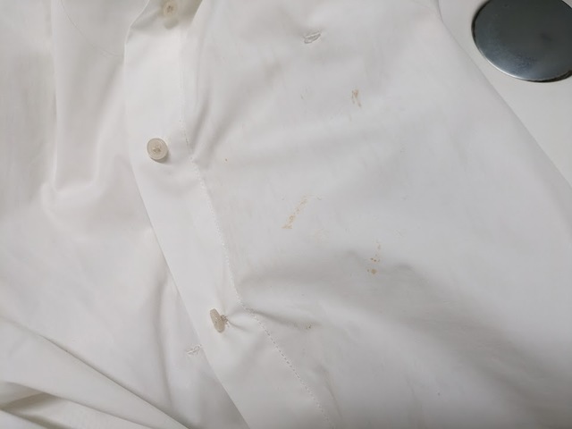 【ワークマン レディースシーンレスシャツ】汚れが落ちやすい素材。白でも安心！