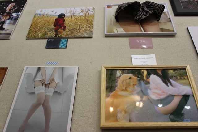 パンチラ2015：さまざまな「パンチラ作品」