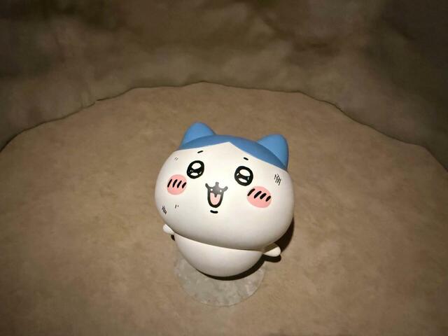 健気なハチワレを助けてあげたい…！