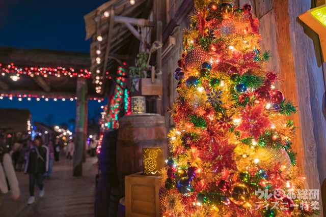 ロストリバーデルタのデコレーション｜東京ディズニーシー「ディズニー・クリスマス」2018年