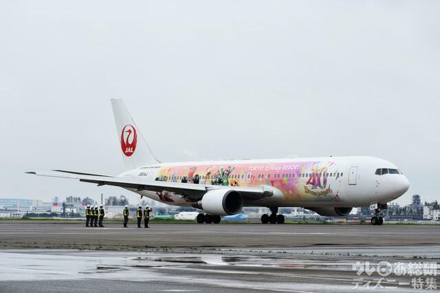 特別塗装機「JAL Colorful Dreams Express」