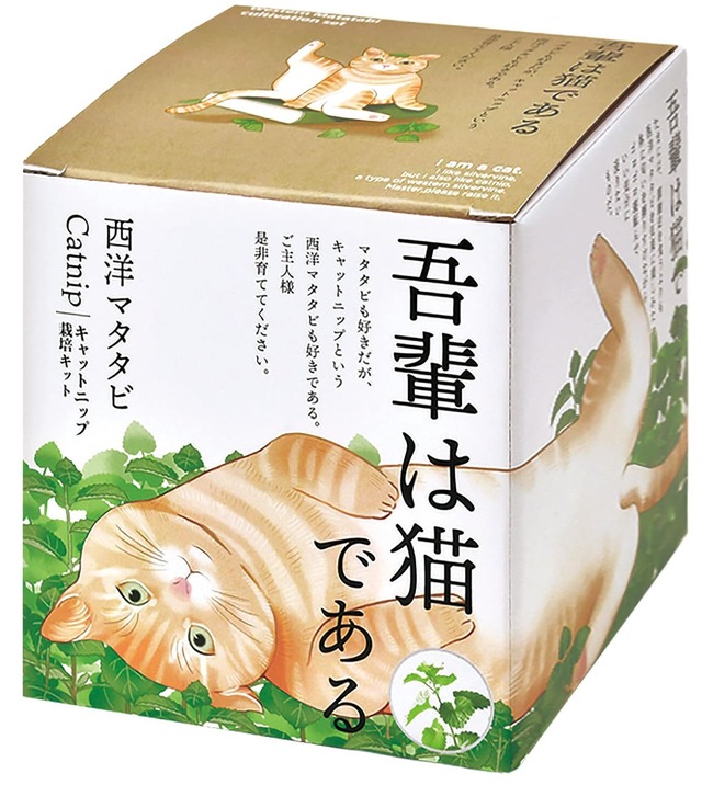 【聖新陶芸「西洋マタタビ栽培キット」】パッケージは「吾輩は猫である」調