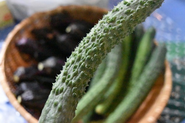 トゲトゲは新鮮な証拠