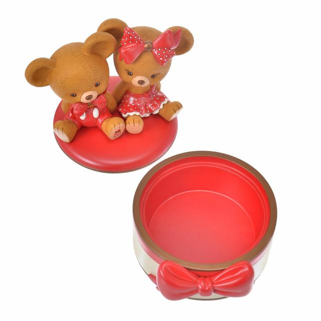 アクセサリーケース 4,620円