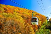 ゴンドラ（栂池ゴンドラリフト イブ）
