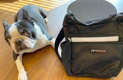 すべての愛犬家に使ってほしい！軽くて使いやすすぎる「mont-bellのお