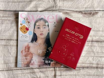 超激レア!! 雑誌キティグッズコレクション表紙になったキティ ドレスぬいぐるみ 大人かわいいハローキティ付録でたよ!ぬいぐるみポーチチャーム