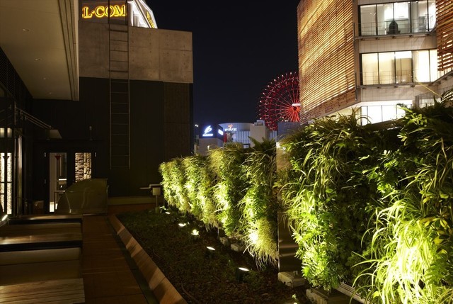 カフェダイニング「C+（ツェープラス）」のビアガーデンプラン