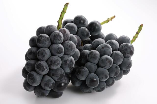 「巨峰」＜期間：2025年9月10日～＞【【スイパラ】シャインマスカット・巨峰・アールスメロンが食べ放題！9月10日よりスイパラ全店舗で開催スタート！】