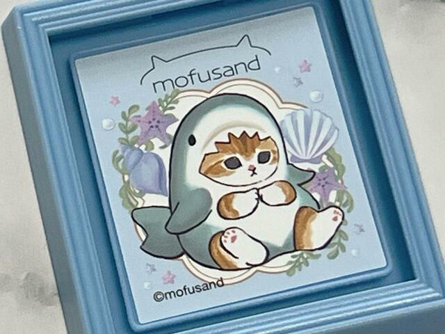 くすみブルーを基調としたイラストがかわいい…！周りの貝のイラストもキュート♪