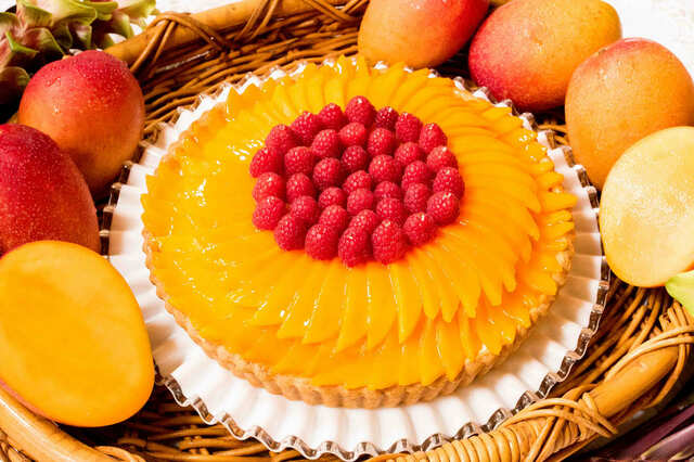 「特選 宮崎県産マンゴーのタルト」