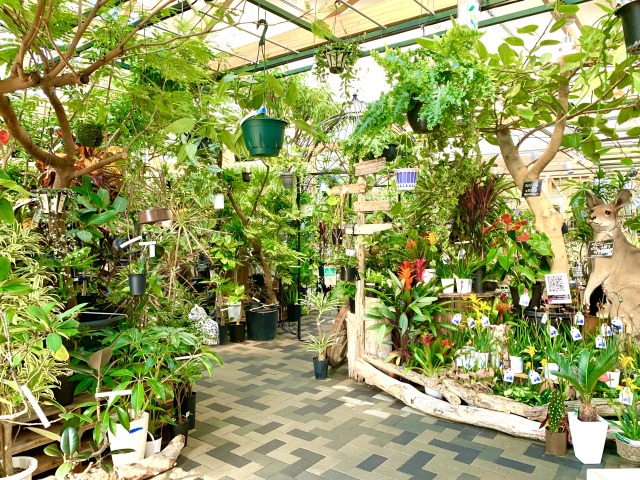 温室のような店内には動物のオブジェなども並べられている