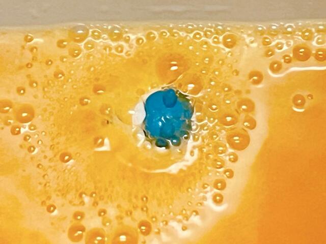 2つ目。このブルーの頭は…