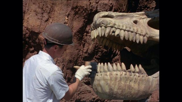 『イマジニアリング~夢を形にする人々』