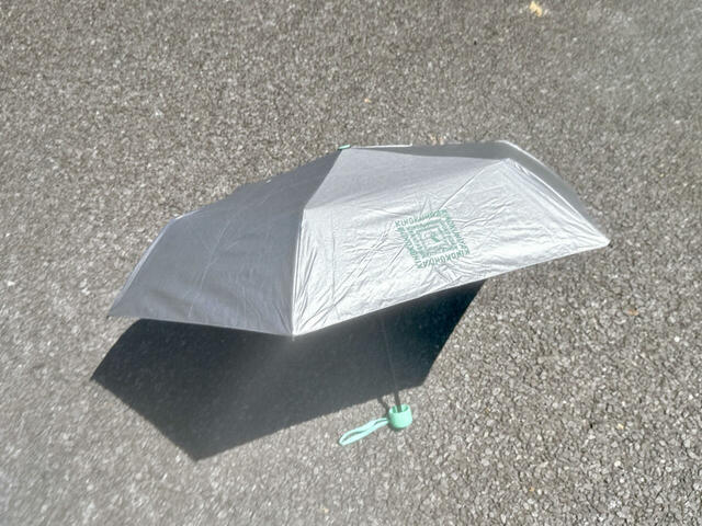 メタリックなシルバーカラーが夏らしくて◎