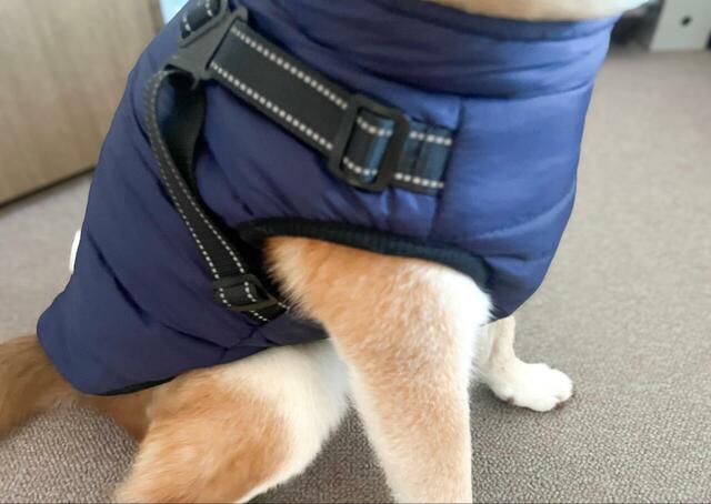 【IGUGHI ふわふわ ダウンベスト風ジャケット 犬用】ダウンジャケットの袖ぐりは広めで、わんこも歩きやすそうです♪
