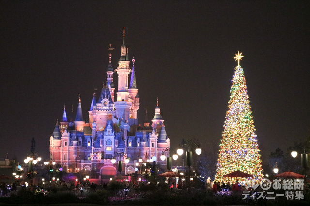 夜の「エンチャンテッド・ストーリーブック・キャッスル」とクリスマスツリー
