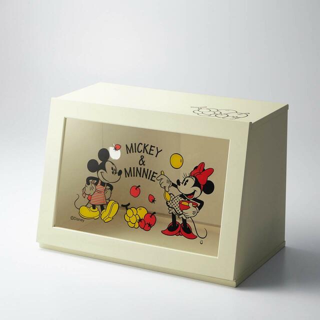 両面から使えるカウンター上収納ケース(選べるキャラクター)|¥ 9,990 (税込)