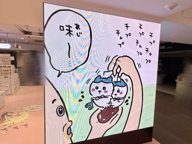 ハチワレVS醤油ダコ。ぶらぶら揺れるハチワレが危ない…！