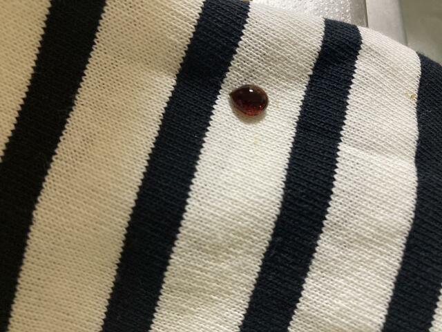 【ワークマン レディースサーバーバスクシャツ】撥水機能付きで、水や汚れを弾きます