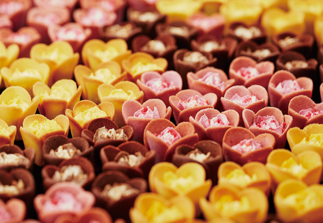 TOKYOチューリップローズ