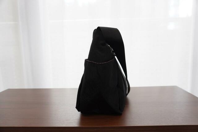 横から見たところ