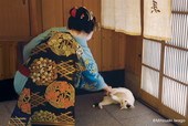 岩合光昭写真展「ねこの京都」