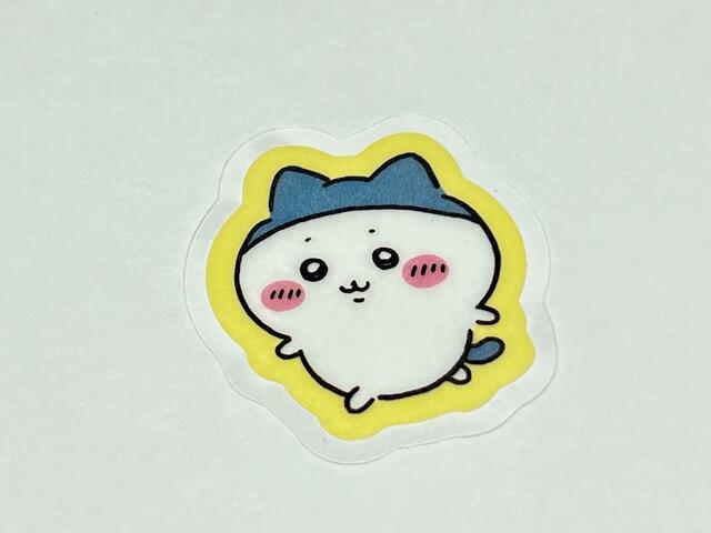 人気が高いスポーツ狩りのハチワレ、通称「スポワレ」もいますよ♪