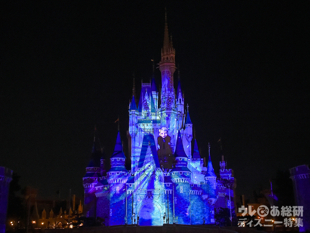 フローズン・フォーエバー｜東京ディズニーランド「アナとエルサのフローズンファンタジー」（2017年）
