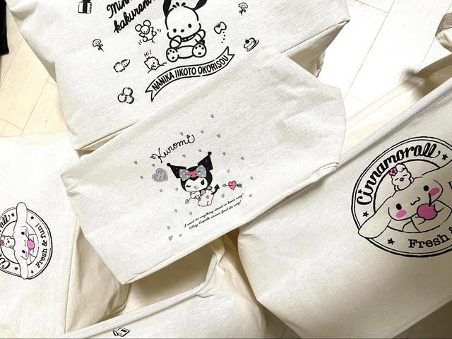 【DAISO サンリオ 収納ケース】可愛すぎる収納ボックス