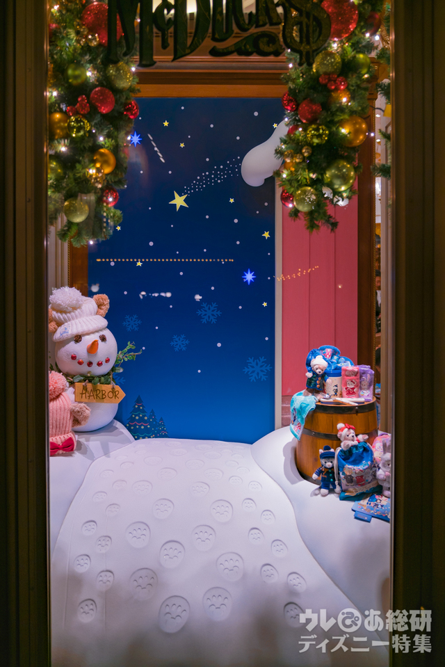 「マクダックス・デパートメントストア」のウィンドウ