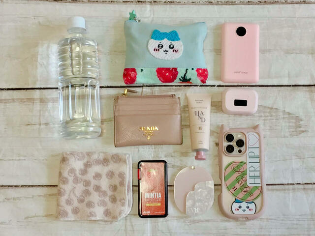 これだけの荷物が収納可能！