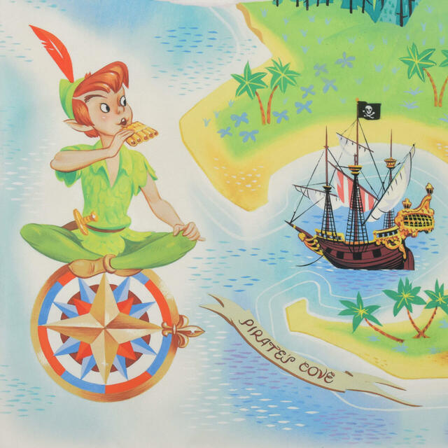 ピーター・パン レジャーシート (S) ポーチ入り Map Compact Picnic Sheet 1,500円