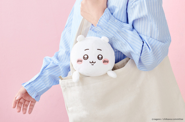 持ち運べるサイズ