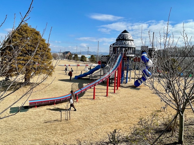 【ユメノバ】入場口の近くには、自由に遊べる遊具もあります