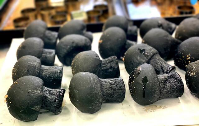 サザコーヒー きのこぱん