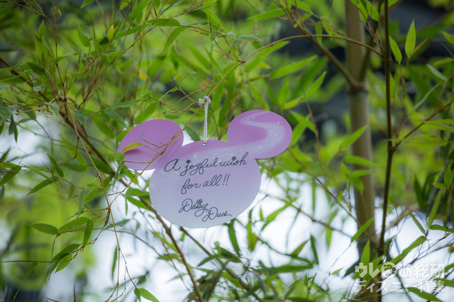 デイジーダックのウィッシングカード