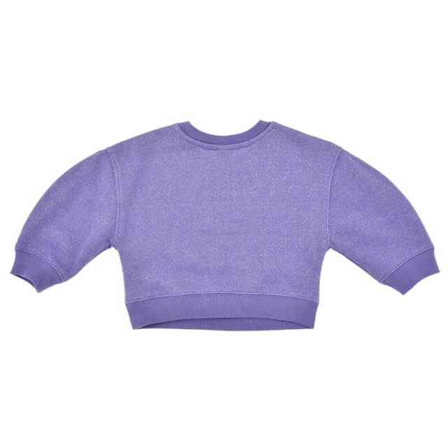 ディズニーキャラクター キッズ用長袖トレーナー The Disney100 Platinum Celebration Collection 6,600円