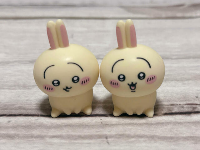 いつもよりおっとりした印象のうさぎ2種類を並べてみました。かわいい〜！