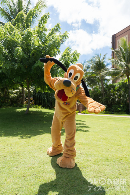 新キャラクターのプルート