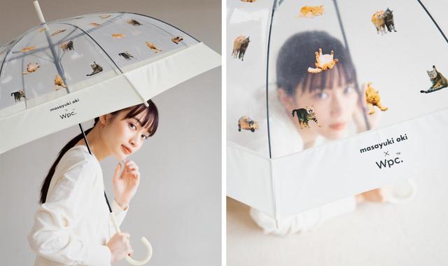 アンブレにゃん