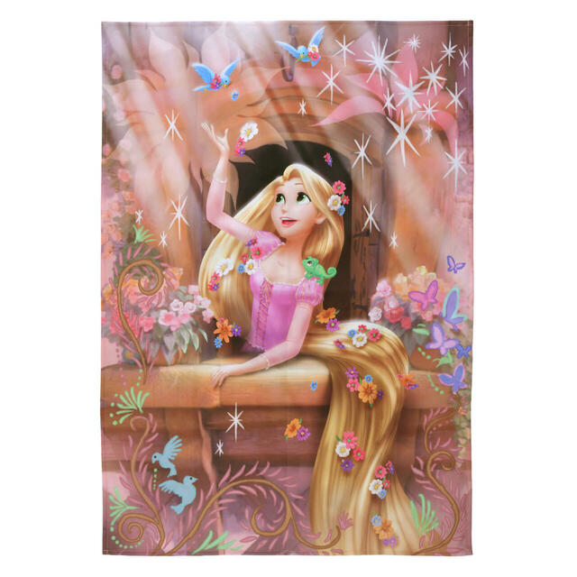 ラプンツェル＆パスカル レジャーシート ポーチ入り DISNEY LEISURE TIME 2,000円