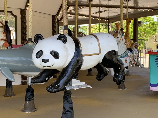 パンダに乗って写真を撮って！